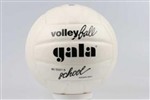 fotka Volejbalový míč Gala SCHOOL 5031 S